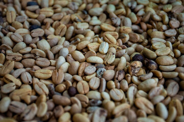 roasted coffee beans