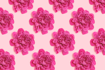Naklejka premium Repetitive pattern made of heads of peony flower on a pink pastel background. Creative concept.