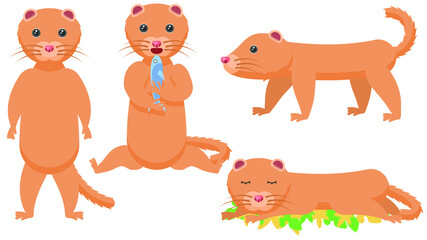 Set Abstract Collection Flat Cartoon Different Animal Mink Stand, Sleeping, Eating A Fish, Vector Design Style Elements Fauna Wildlife