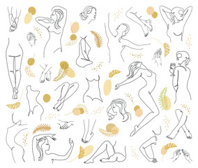 Collection. Silhouettes of the figure of a girl and a leaf of a plant in a modern one-line style. Solid line, aesthetic outline for home decor, posters, stickers, logo. Vector illustration set.