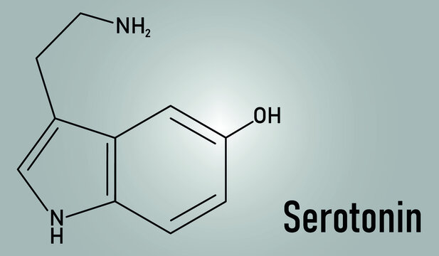 Serotonin neurotransmitter molecule. Skeletal formula. Chemical structure