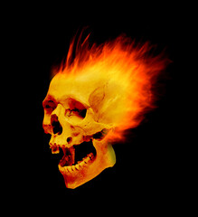 The skull is on fire on a black background.