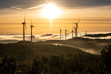Obraz premium wind turbines in rural area in Spain