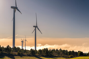 wind turbines in rural area in Spain