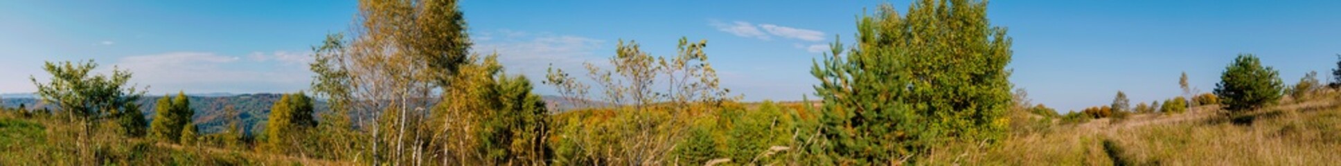 Obraz premium Panorama of autumn tree on a large lawn.