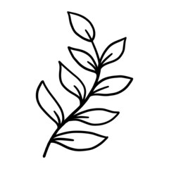 Leaf Hand drawn, doodle elements