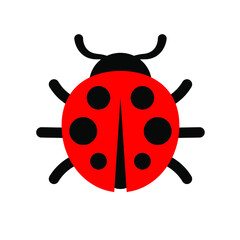 Fototapeta na wymiar Ladybug or ladybird vector graphic illustration, isolated. Cute simple flat design of black and red lady beetle.