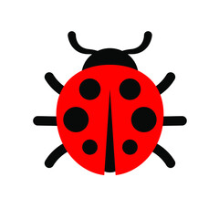 Ladybug or ladybird vector graphic illustration, isolated. Cute simple flat design of black and red lady beetle.