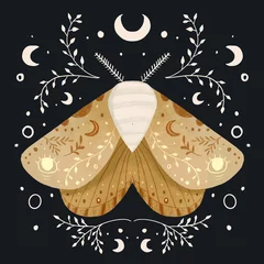 Poster mystical moth illustration © mascute
