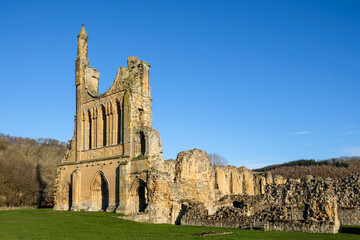 Fototapeta na wymiar Ruins of an ancient abbey