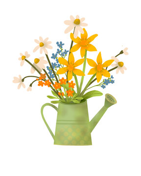 Cute spring summer bouquet of wild or garden Chamomile flowers with a watering can