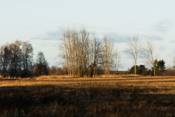 Landscape in the valley of the Narew river at sunset.