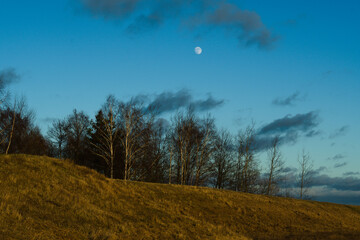 Rising moon in the Narew River valley