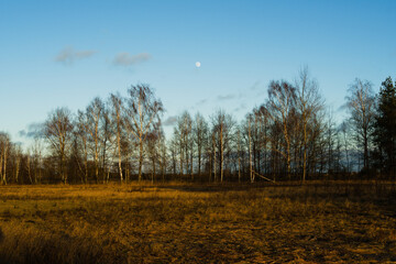 Rising moon in the Narew River valley