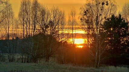 Sunset in the Valley of the Narew River.