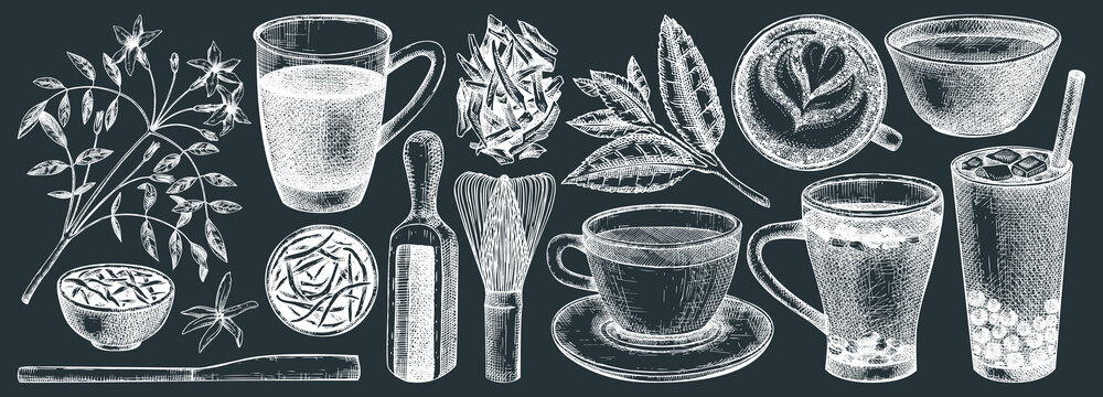 Hand-sketched tea drinks and ingredients collection. Vector sketches of hot beverage cups, dried leaves, jasmine blossom. Green Tea, black tea, white tea, matcha drawing for menu design on chalkboard