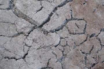 Fototapeta premium dry ground of a lake