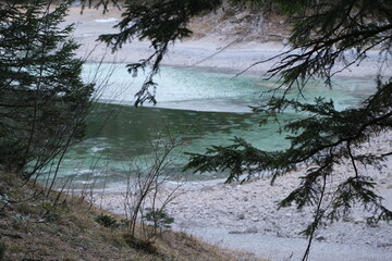 Grüner See Blick vom Wald