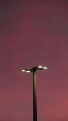 street light in a magenta sunset