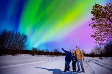 Fototapeten Company of friends tourist looks aurora northern lights night at forest, soft focus © Parilov