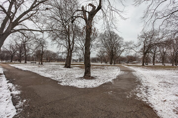 Fork in the park path with snow around trees - Powered by Adobe
