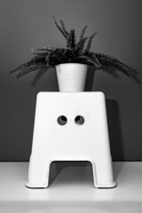 Escalón de plástico blanco con maceta encima con apariencia de perro. Fotografía conceptual en blanco y negro.