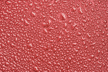 Drops, drips, blobs, beads, dribbles of water on the red or rose brilliant surface. Monochrome...