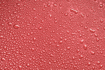 Drops, drips, blobs, beads, dribbles of water on the red or rose brilliant surface. Monochrome macro or closeup background or texture