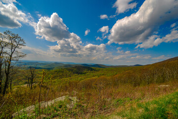 Panoramic view of Shenandoah National Park, Virginia, USA