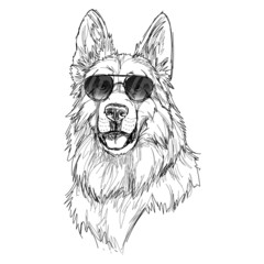 happy stylish dog german shepherd wearing sunglasses illustration vector black and white bulldog canine
