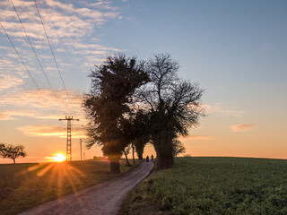Strommast und Feldweg bei Sonnenuntergang