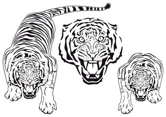 Roaring tiger, icon set. Vector illustration.