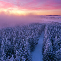 Winterromantik im Wald