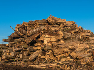 Holzabfälle zur Herstellung von Rindenmulch