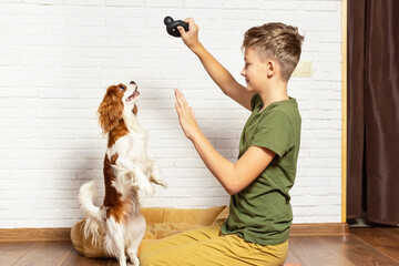 Kid with dog indoor. Teen boy is training her puppy at home. Happy boy playing hugging his funny pet puppy dog domestic animals. Best friend and pet. Lovely dog