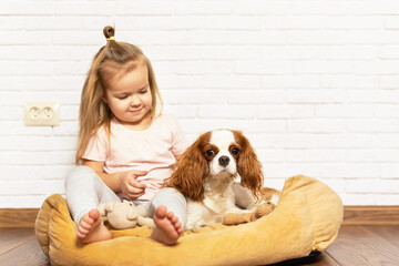 Adorable little girl with puppy playing at home. Child with little dog indoor. The best and friendliest pet for kids and families, love for pet, love for dogs, special relationship with the pet