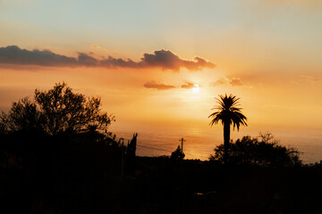 Sunset over the canary island of La Palma with palm tree