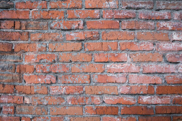 Fototapeta premium Grunge empty red stonewall background. Old brick wall texture . Copy space