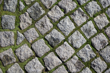 Green moss on paving stones.  Top view