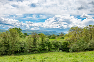 Fototapeta na wymiar springtime in the hills of Wales.
