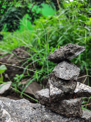 stones in the forest