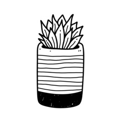 Cute houseplant in flower pot isolated on white background. Vector hand-drawn illustration in doodle style. Perfect for cards, decorations, logo.