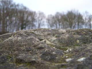 Rock Texture Beautiful Nature Rocks Stone Textured Trees Green Moss On Rocks