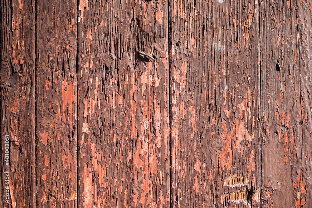 Canvas Prints Wooden background covered with peeling paint . Rustic wood surface texture