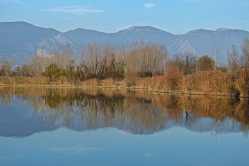 Fototapeta premium winter landscape