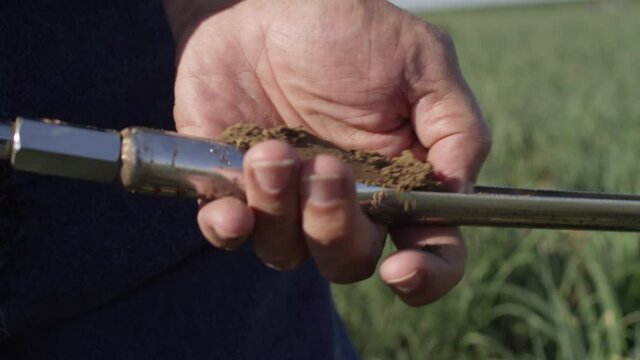 Farmer uses tool to collect dirt and sample soil in hand feels with fingers