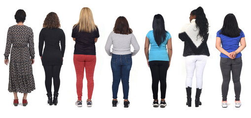 rear view of a group women on white background