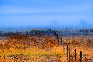 Foggy Valley Meadow with Trees and Morning Sunlight