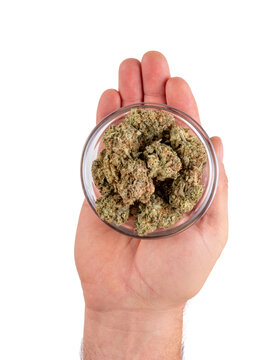 A man's hand holding a bowl full of marijuana cannabis flower buds. Isolated on white background.