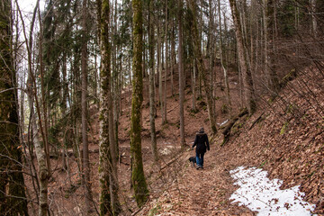 A woman hiking with her dog through a forest in the Bavarian mountains